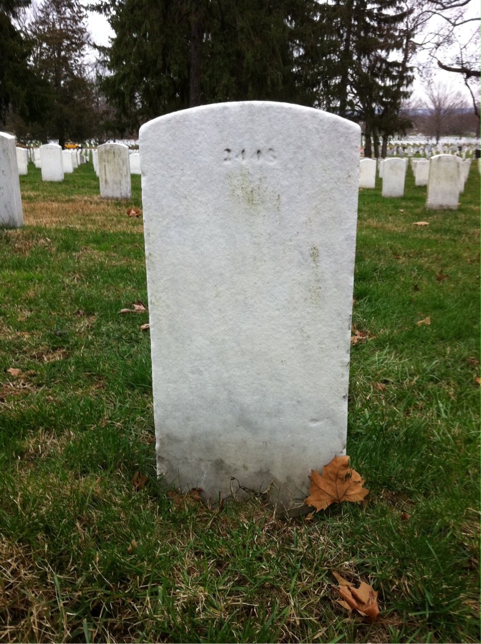 Back of headstone — Mollie Adams