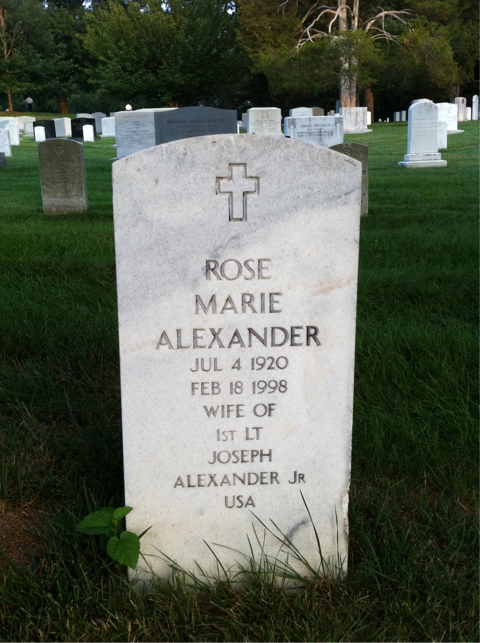 Rose Alexander