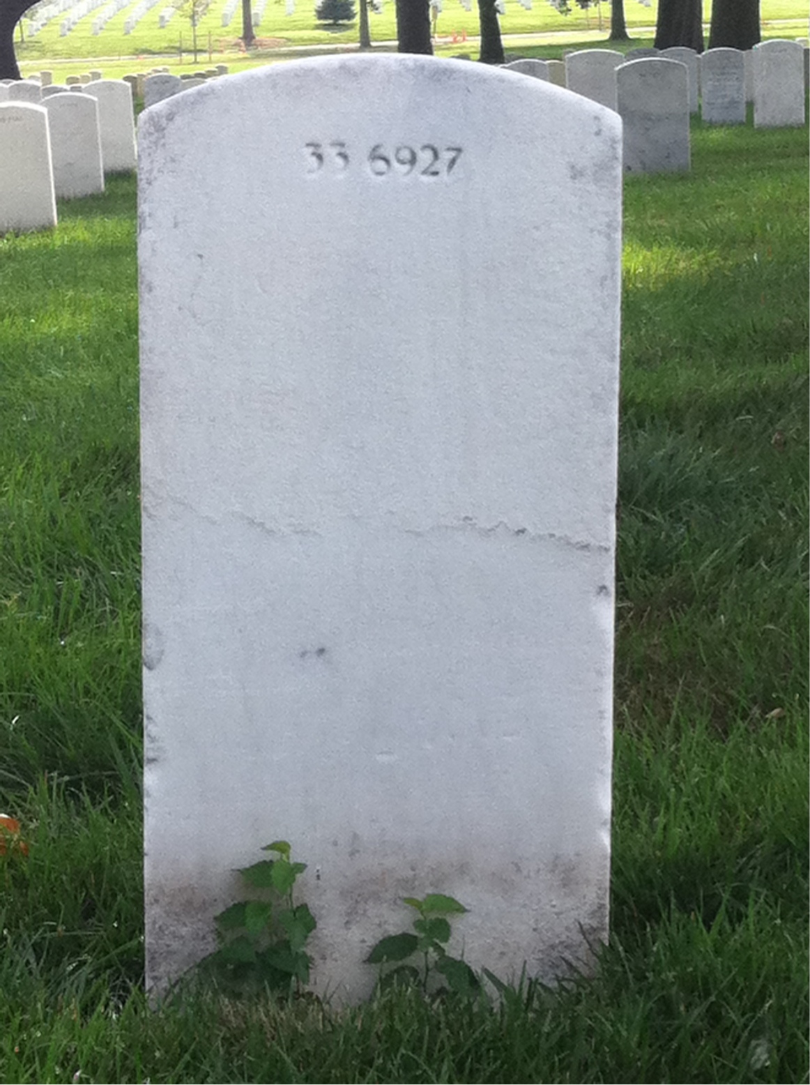 Back of headstone — Theodosia Murphy