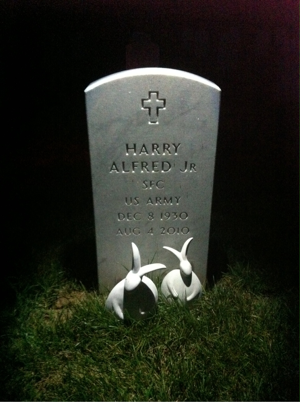 Harry Alfred