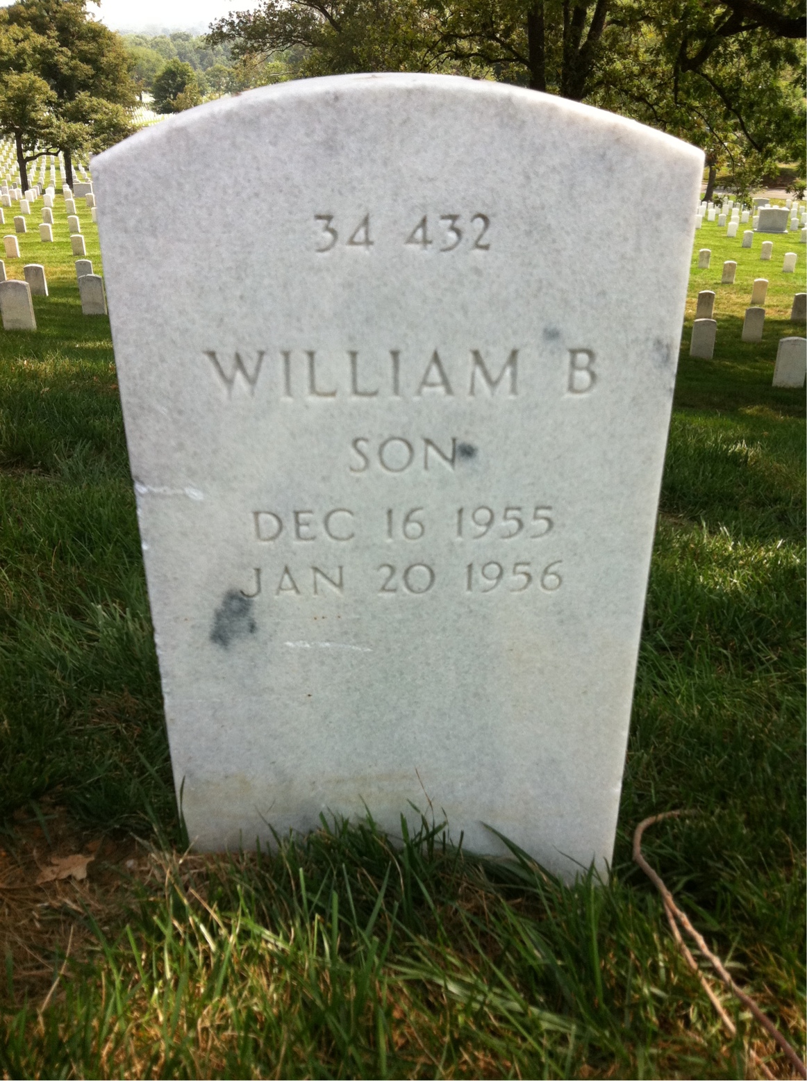 Back of headstone — George Alston