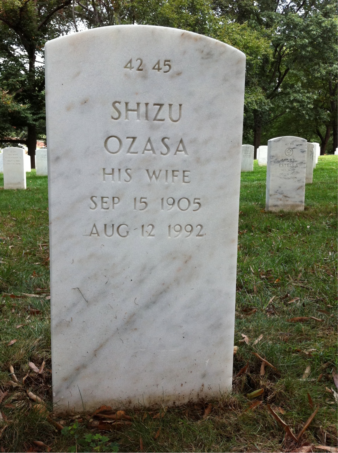 Back of headstone — Pallie D Brown