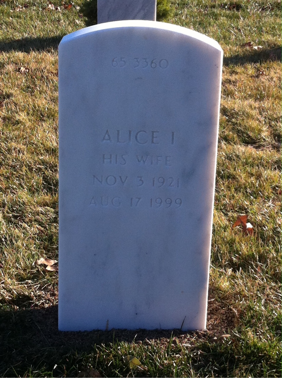 Back of headstone — Sevino Mozzochi