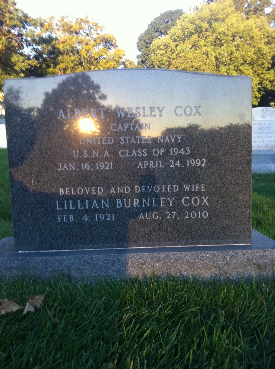 Albert Cox