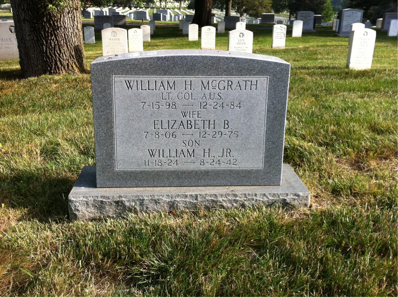 William Henry Mcgrath