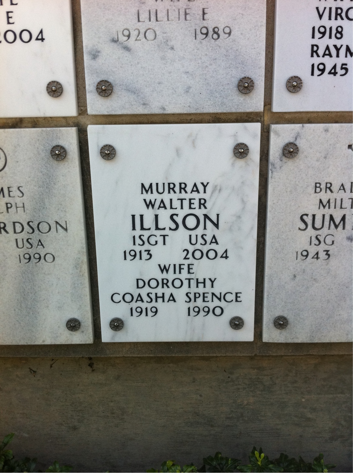 Murray Illson