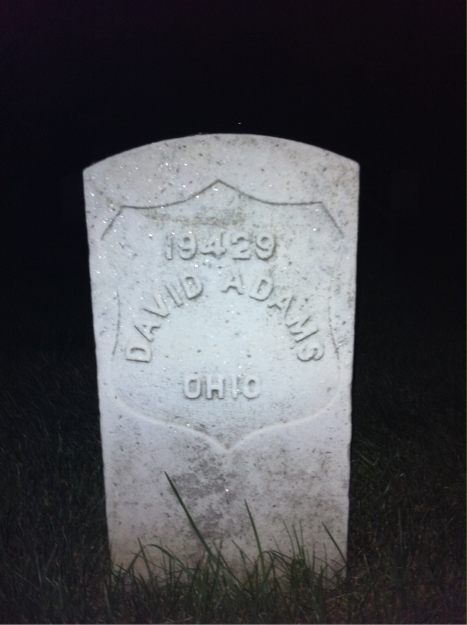 David Adams