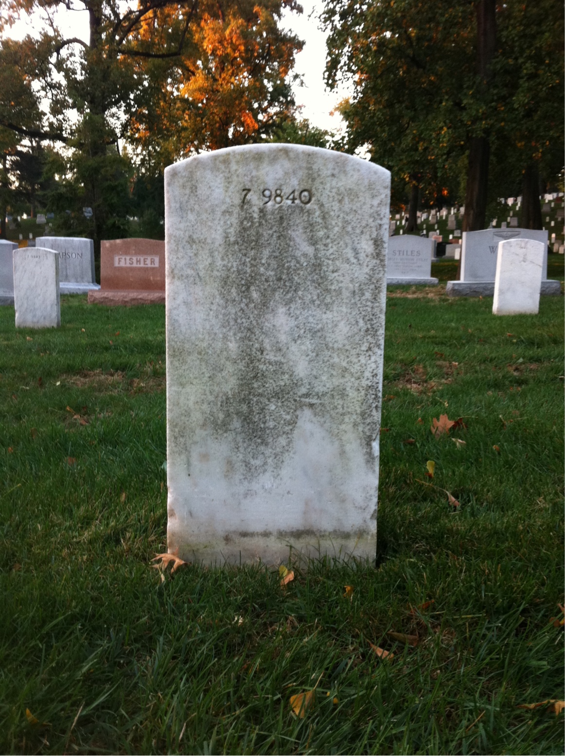Back of headstone — Mary Artois