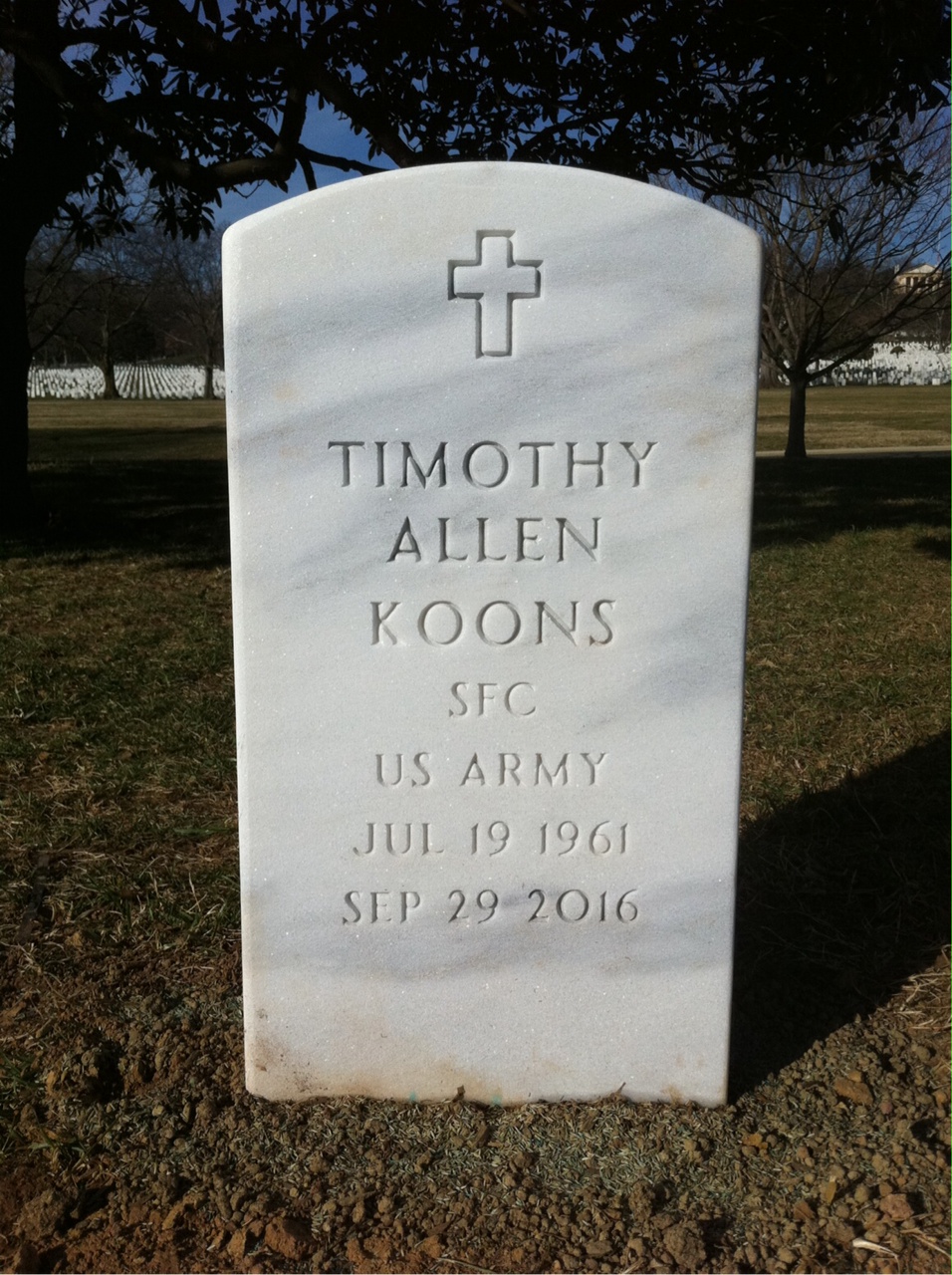 Timothy A Koons