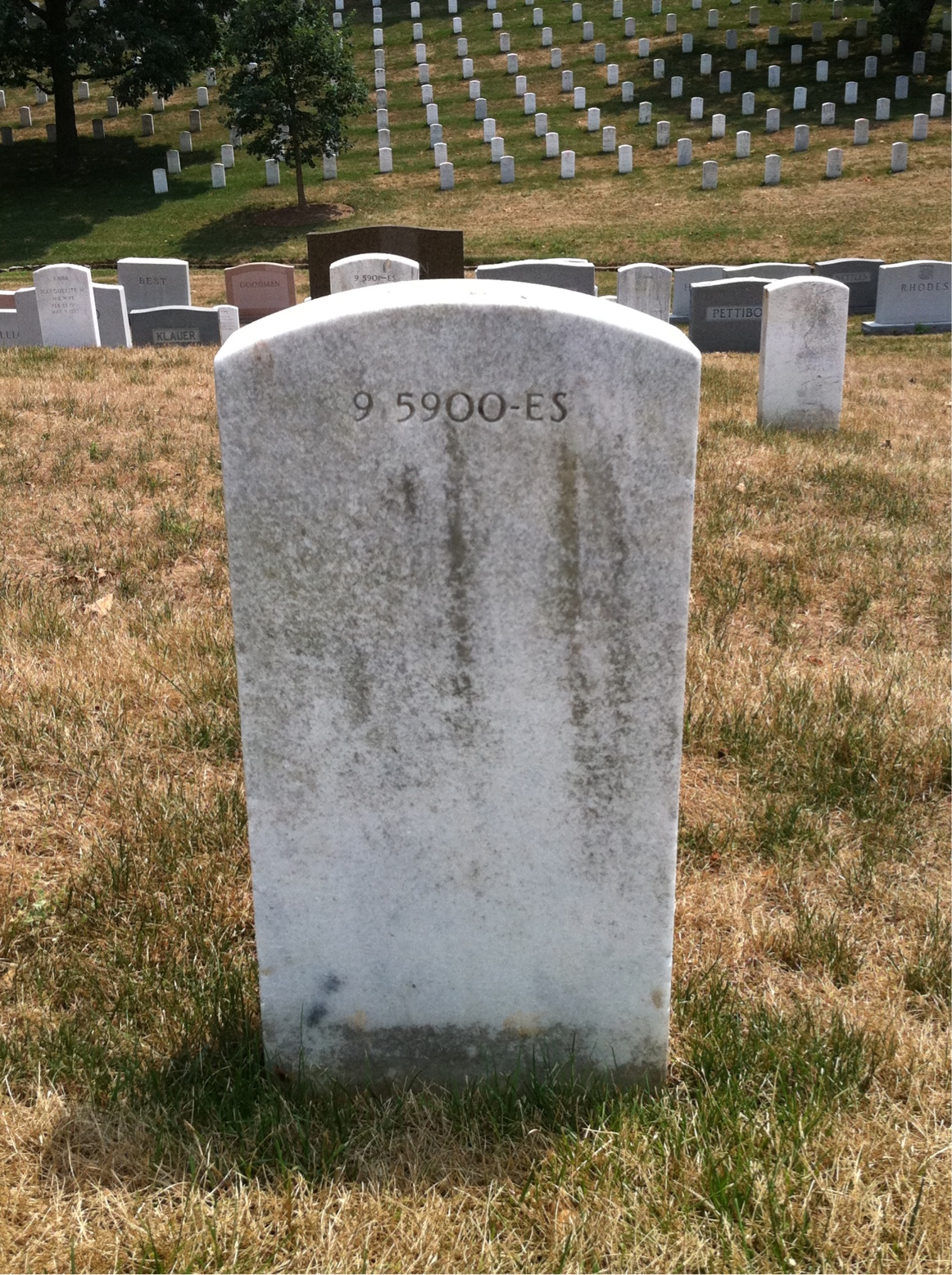 Back of headstone — Mabel Moriarty