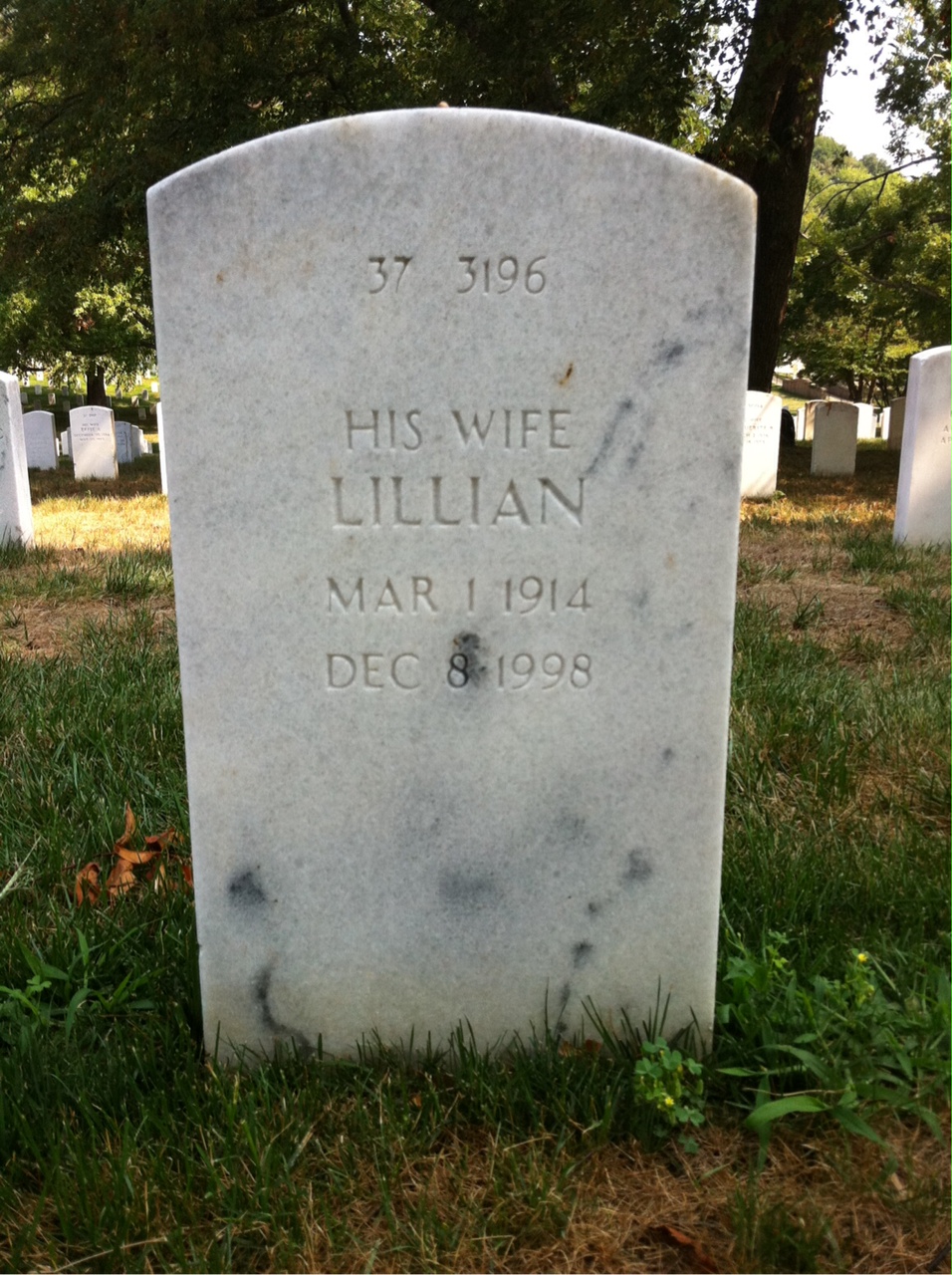 Back of headstone — William F Mcbride