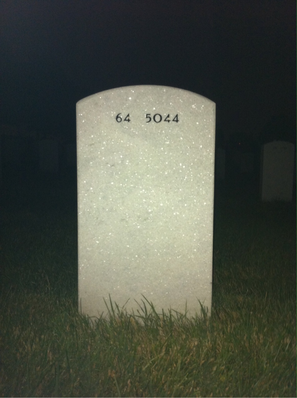 Back of headstone — Alvin Platt