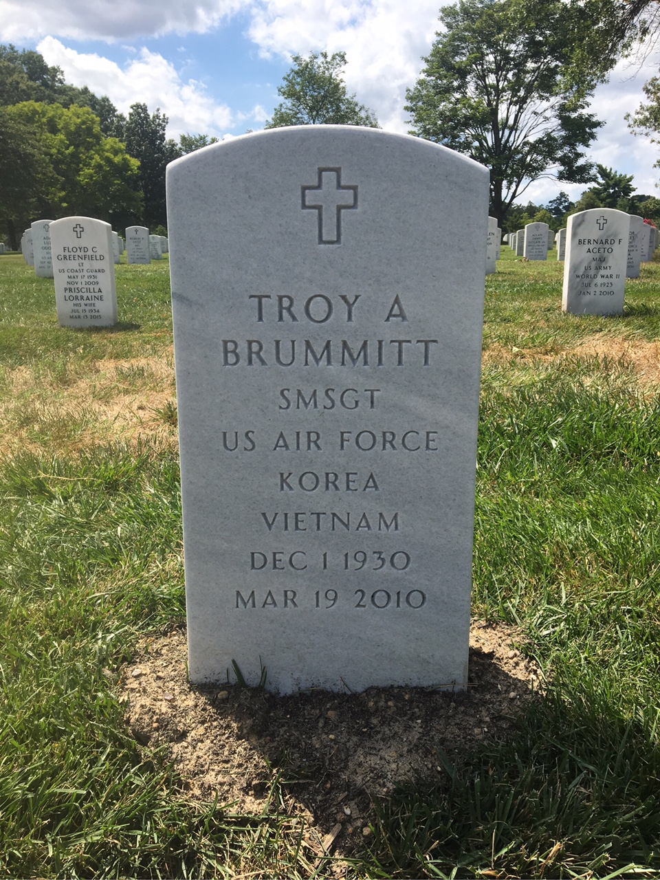 Troy A Brummitt