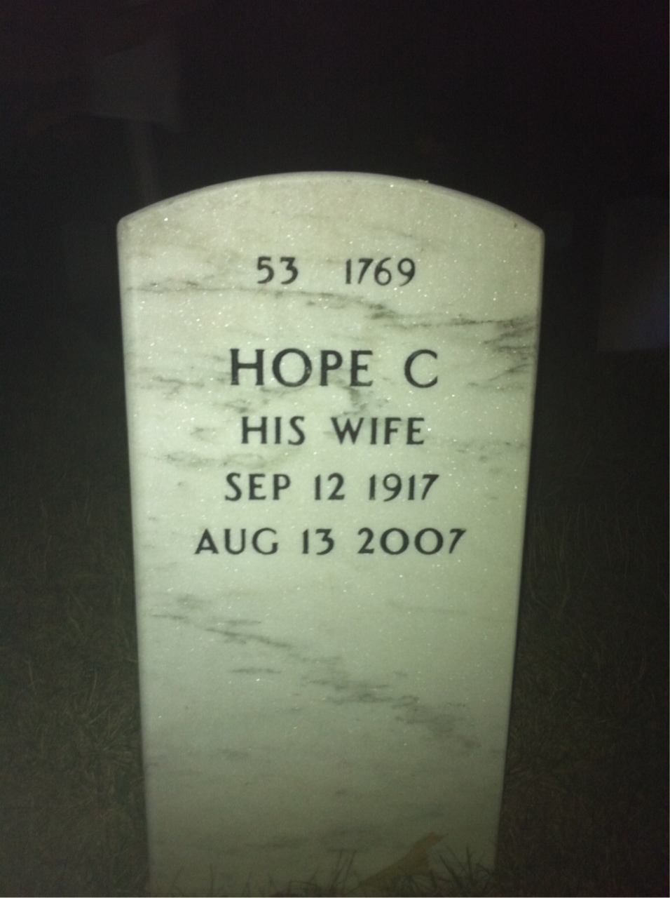 Back of headstone — Richard Ligon