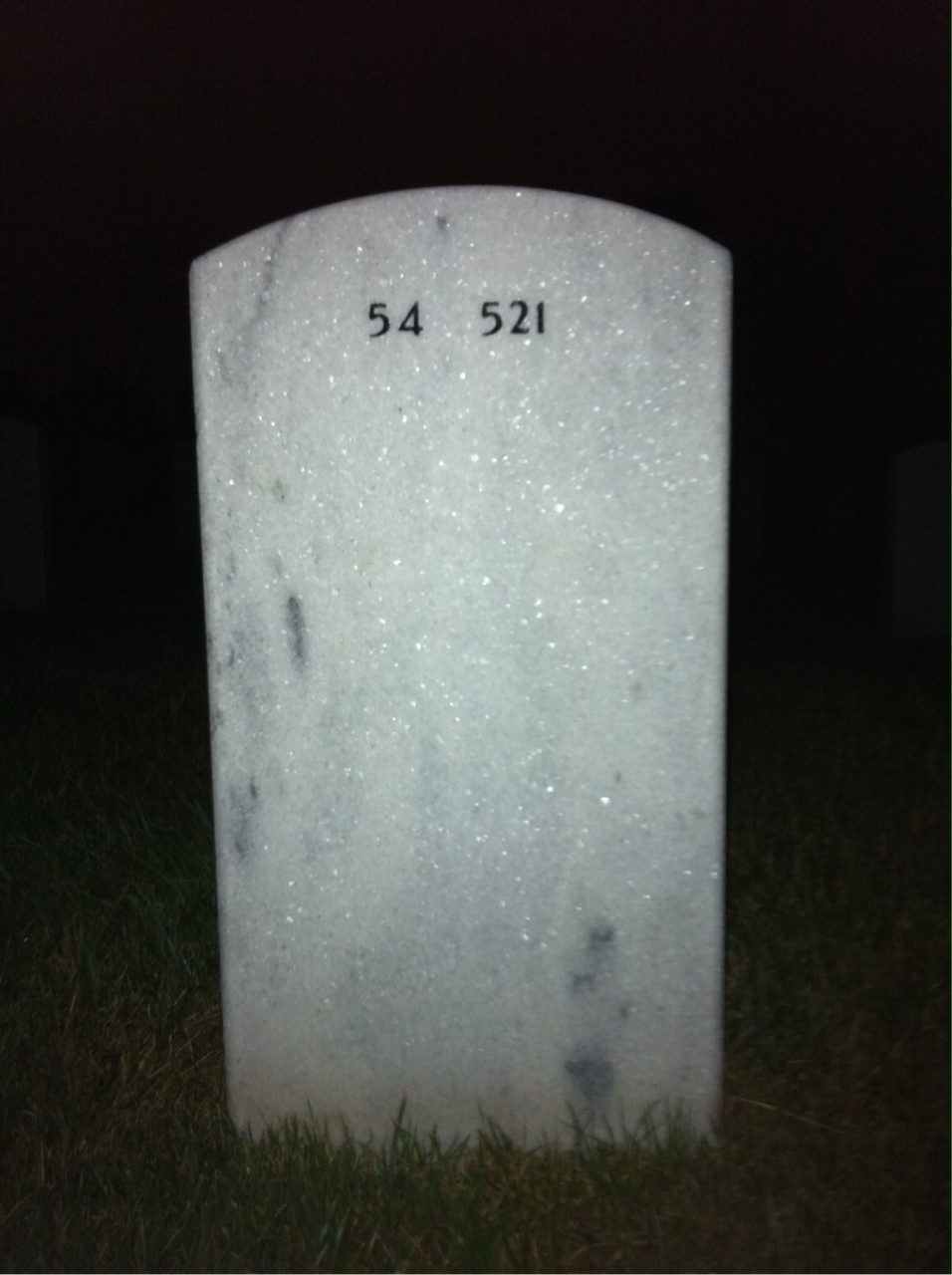 Back of headstone — Newton Scott