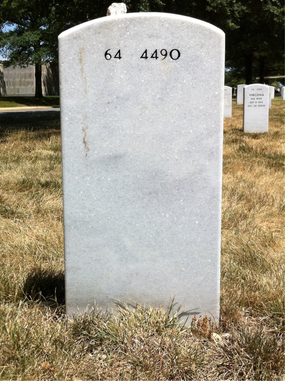 Back of headstone — Lionel Schmemann