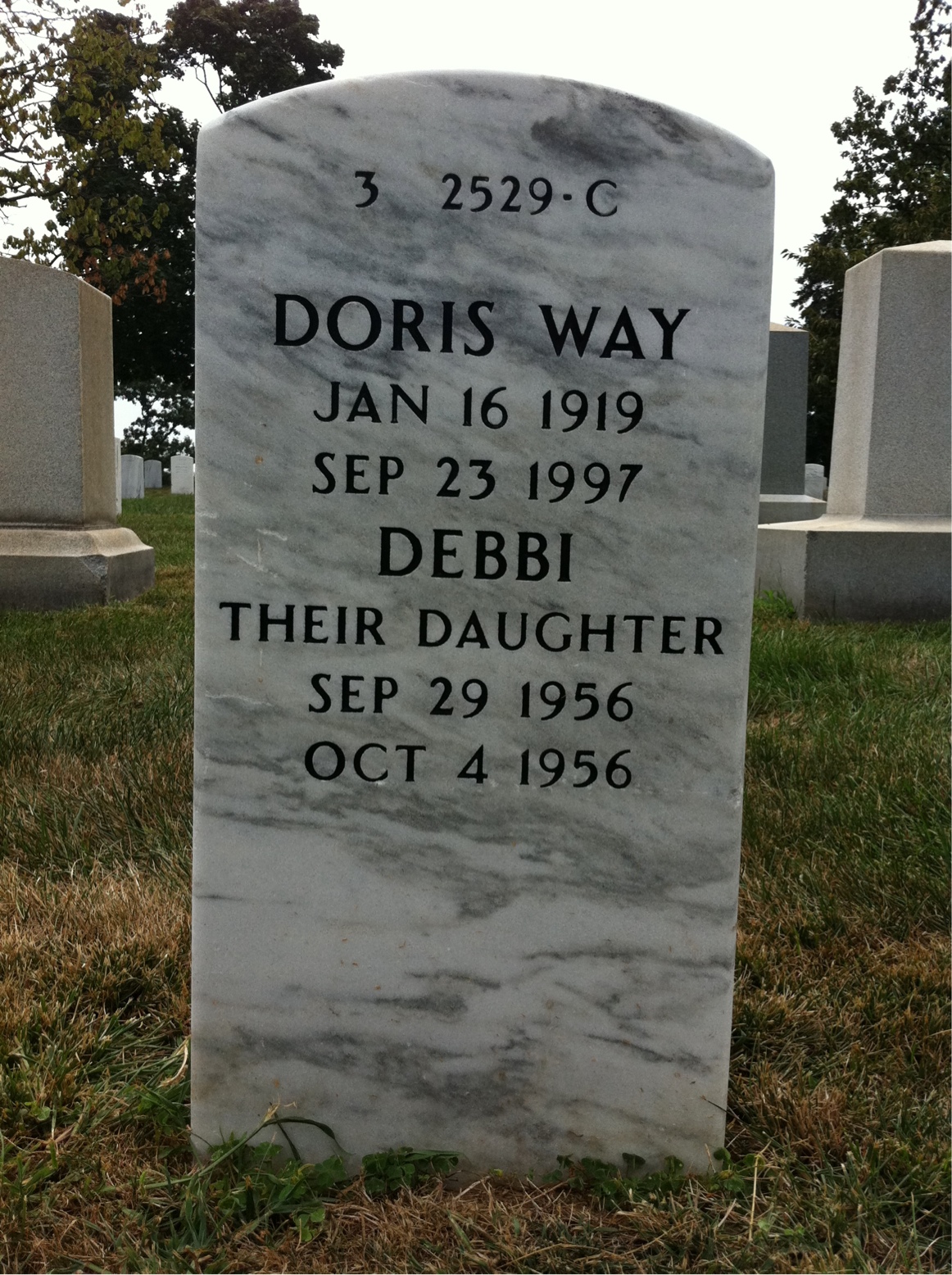 Back of headstone — Louis Delaney