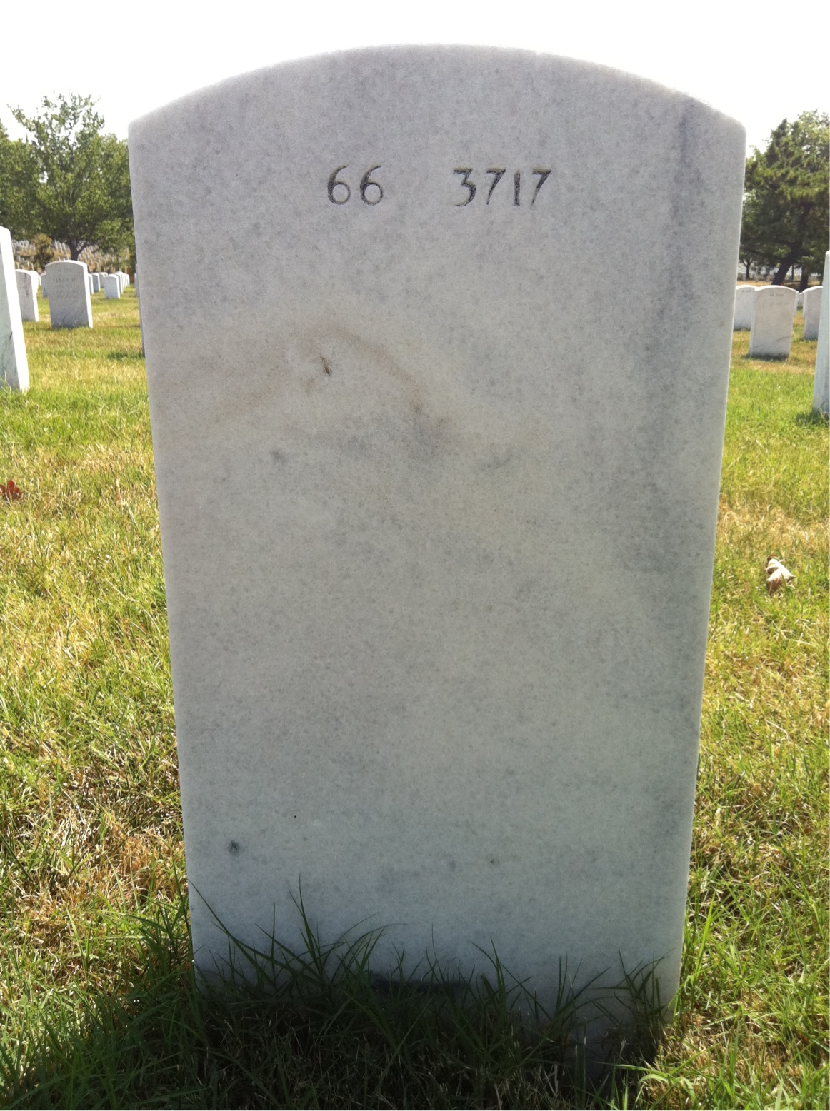 Back of headstone — David Coleman