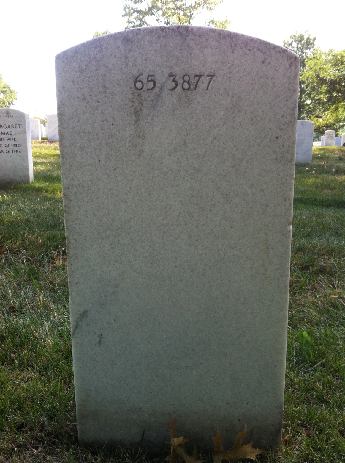 Back of headstone — Theodore Murawski