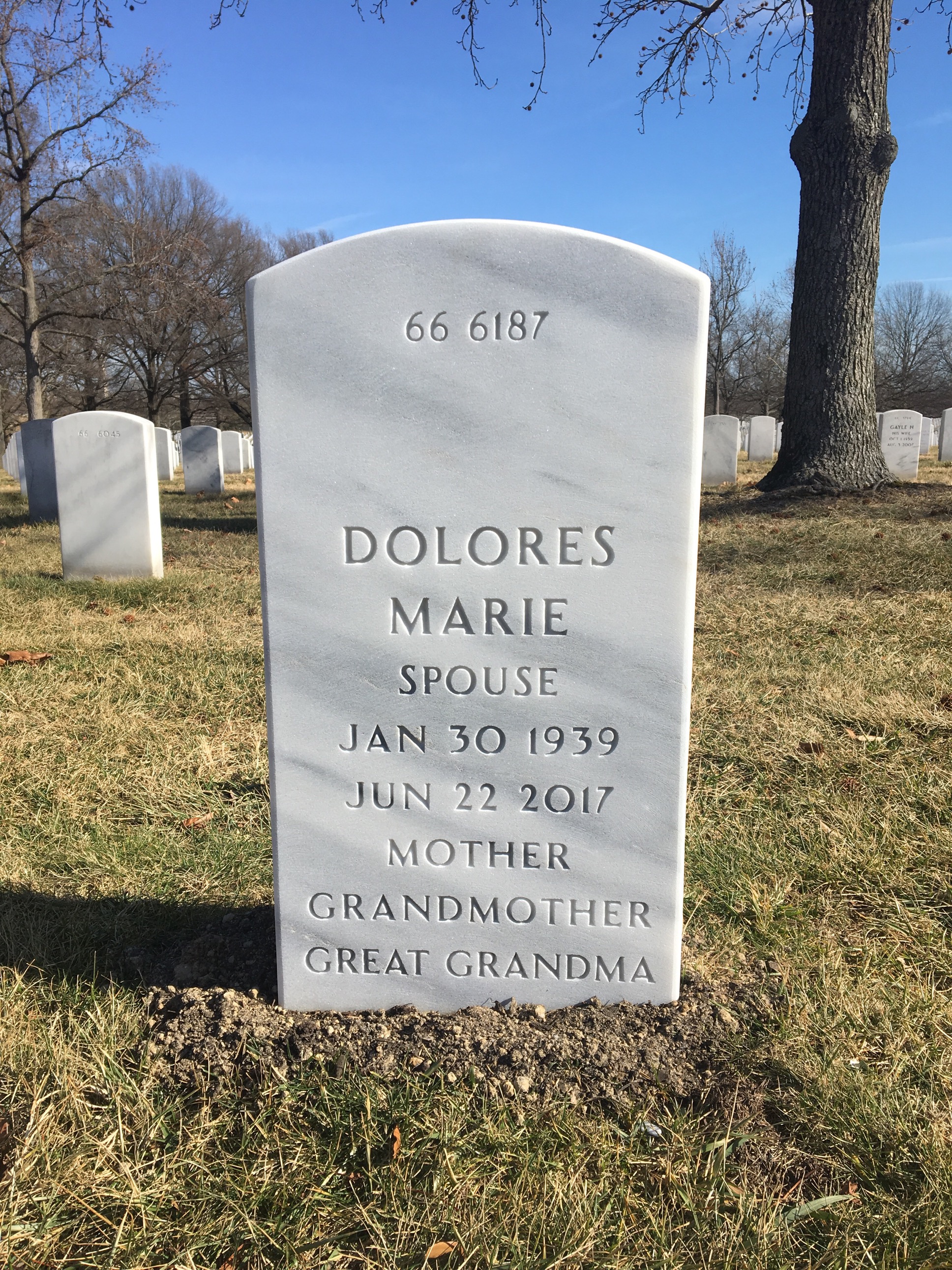 Back of headstone — William Steinhauer