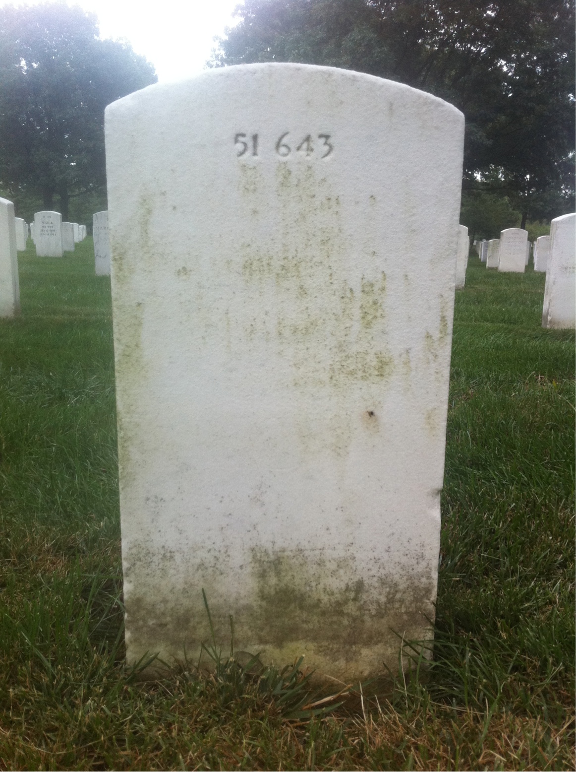Back of headstone — Bynum Trice