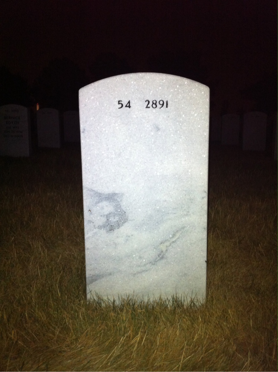 Back of headstone — James Mcgavock