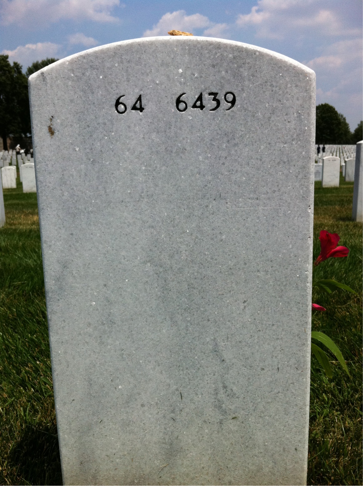Back of headstone — Francis Wigle