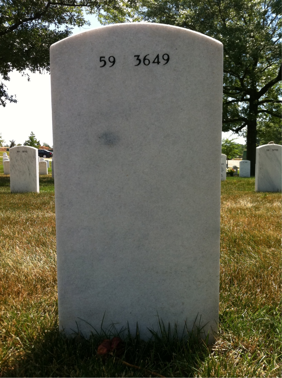 Back of headstone — Waldo Lemay