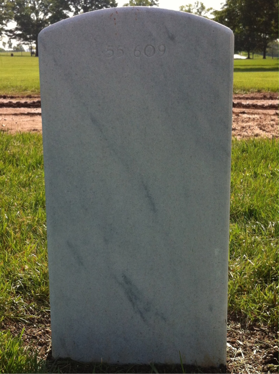 Back of headstone — Wade Henry Reich