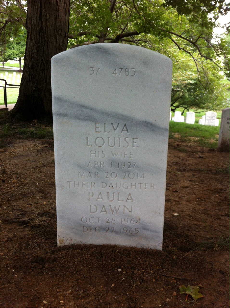 Back of headstone — Alfred Alsop