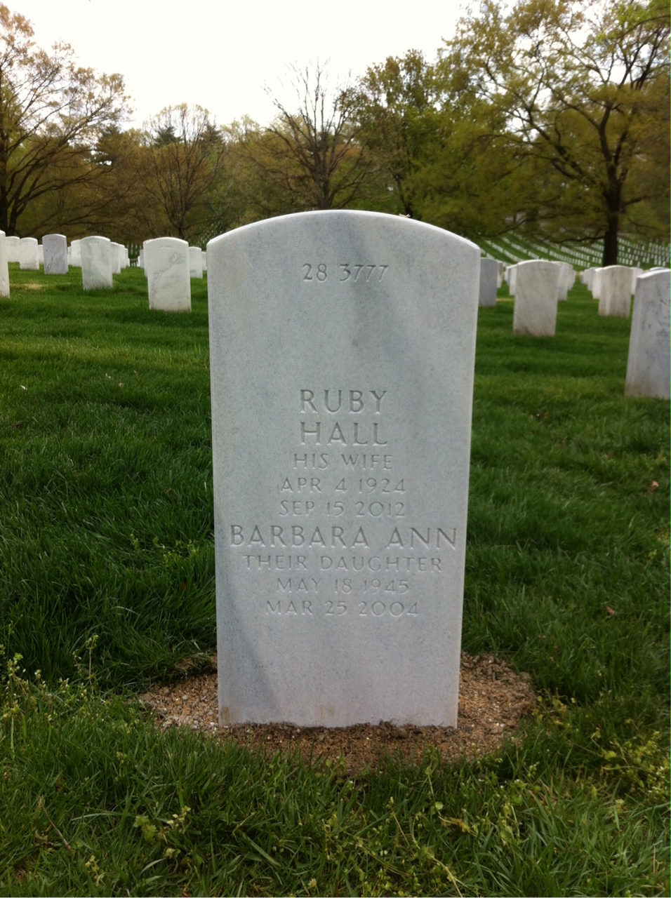 Back of headstone — James Mcleod