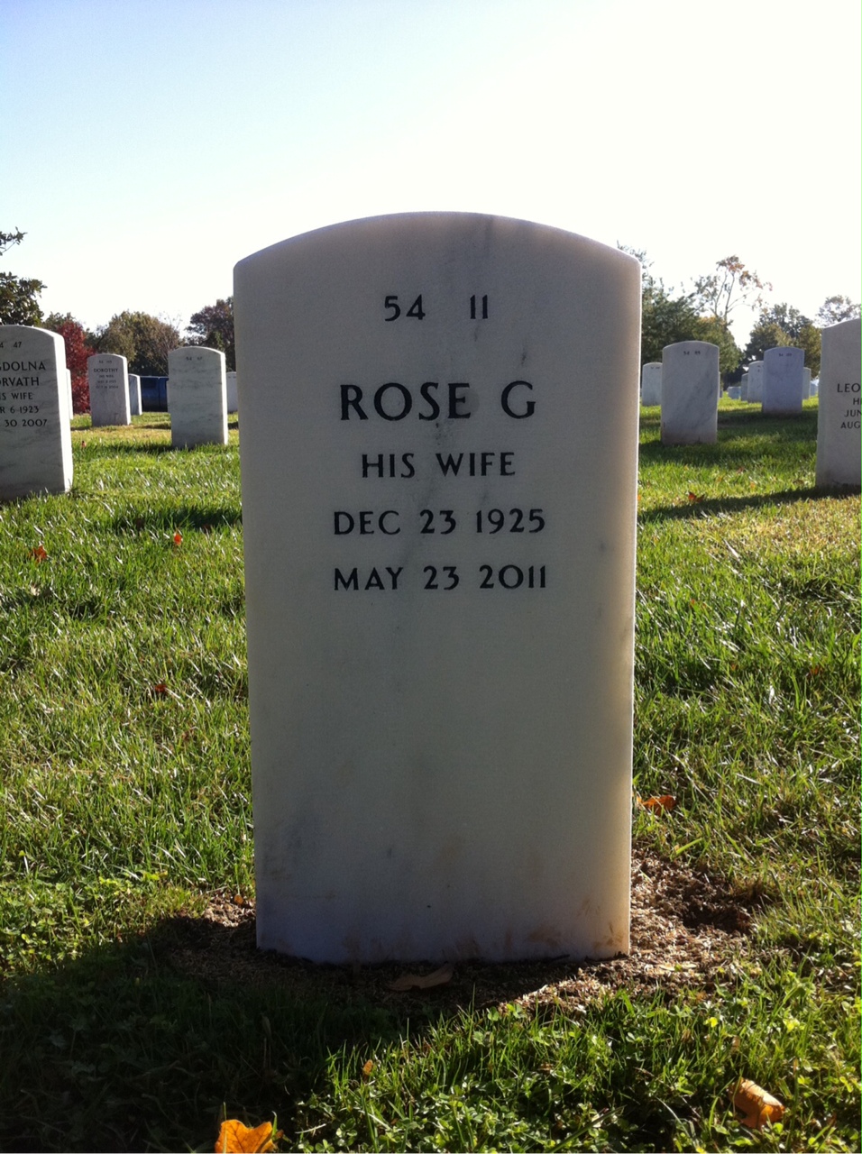 Back of headstone — Louis Genuario