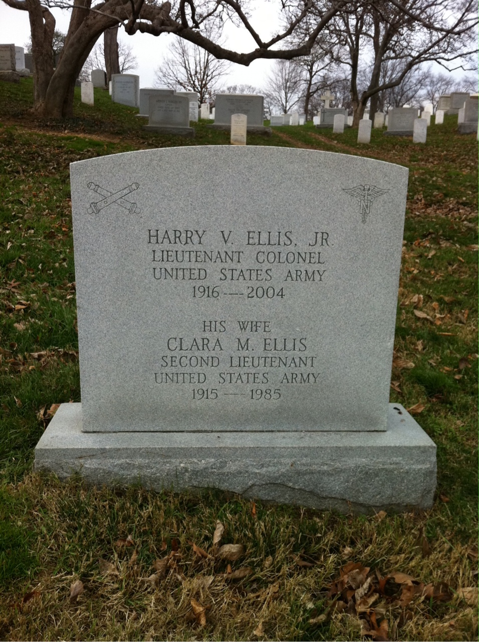 Harry Ellis