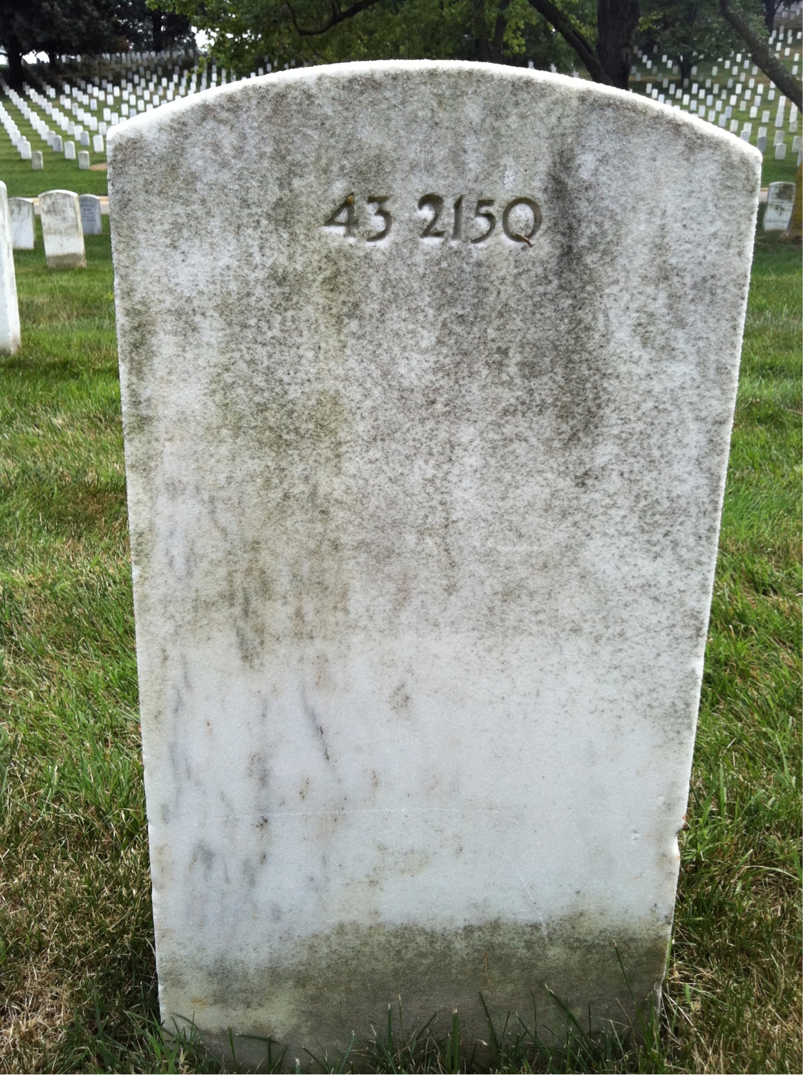Back of headstone — Salvatore Alcaro