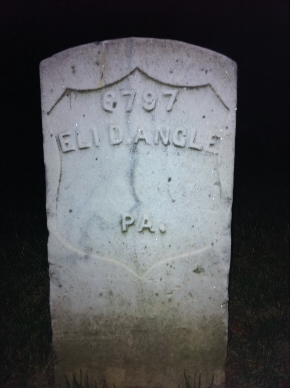 Eli Angle