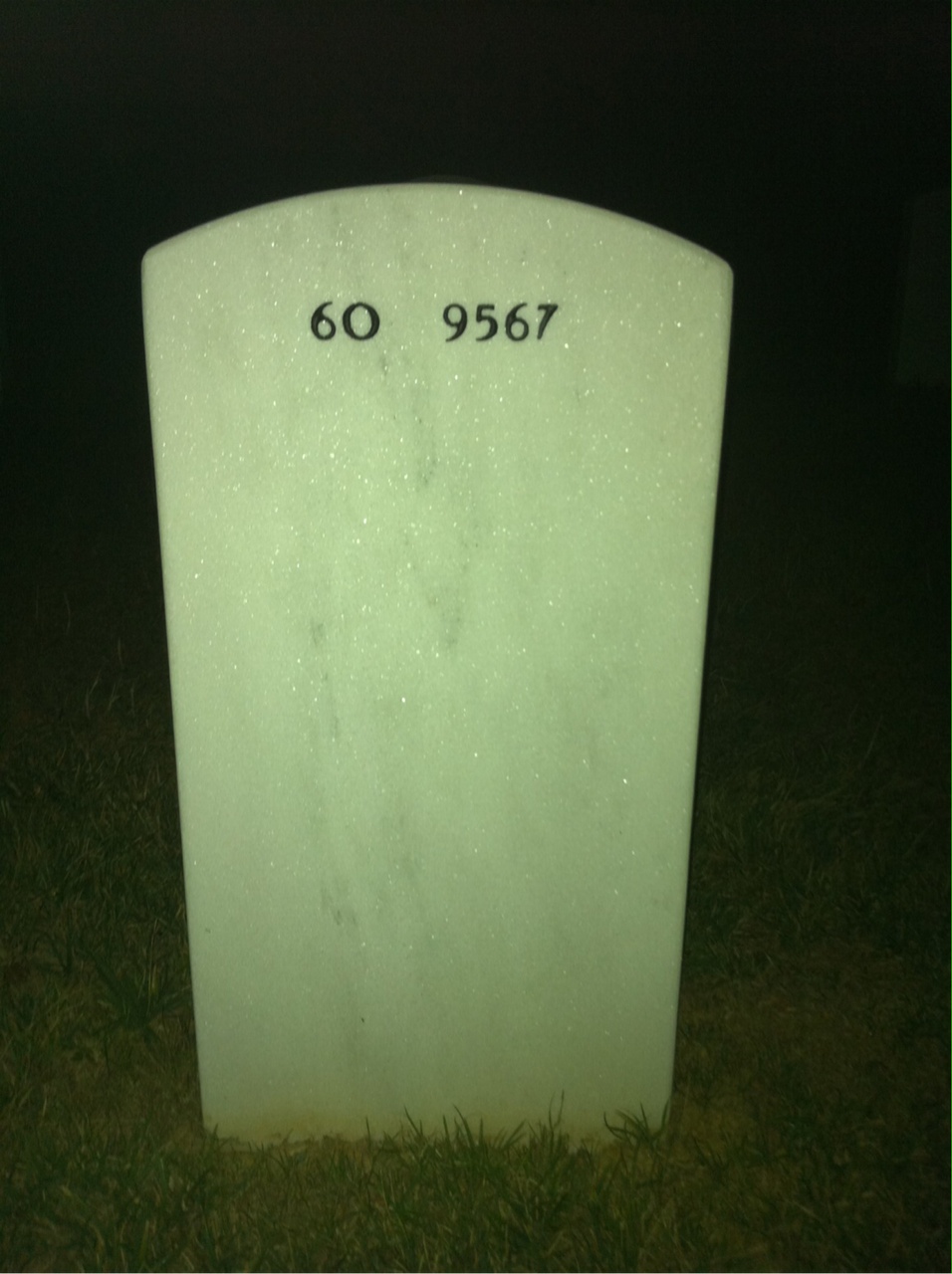 Back of headstone — Robert Kelsey Levi Repkie