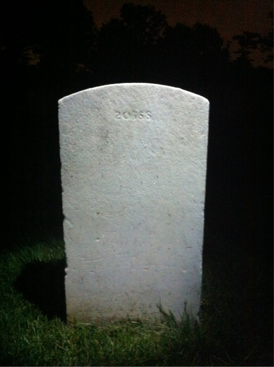 Back of headstone — George Brenize