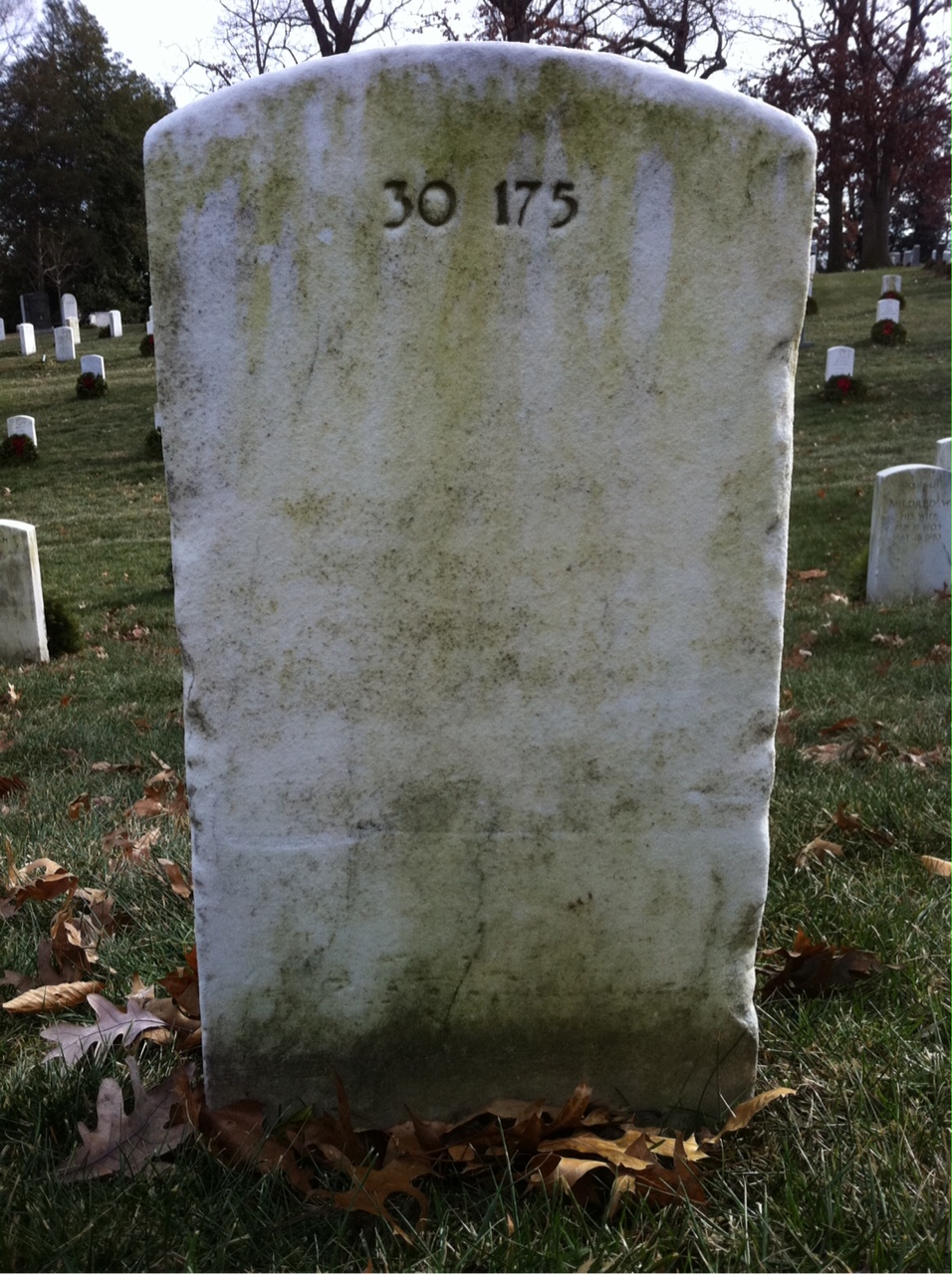 Back of headstone — Garrison Arey