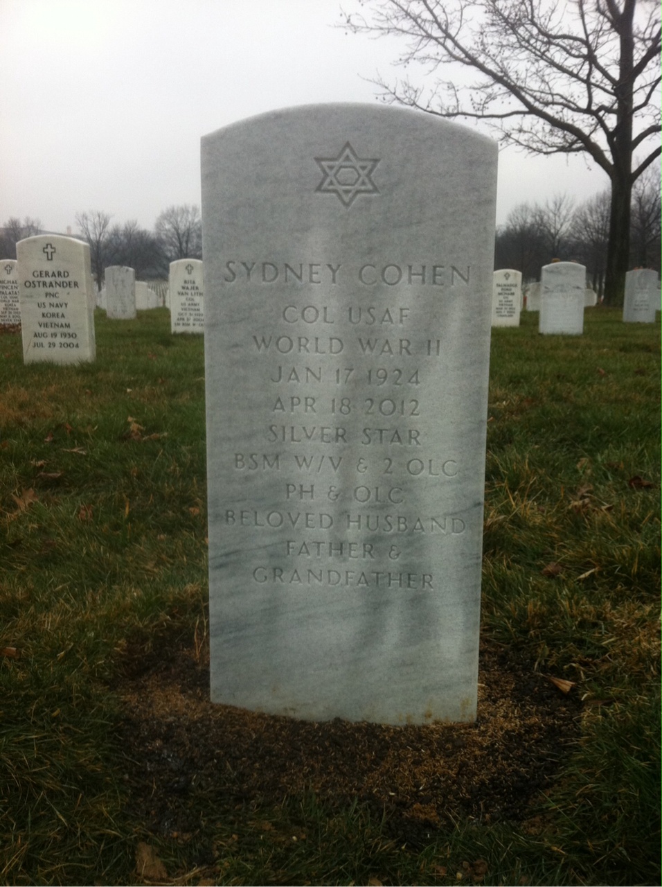 Sydney Cohen