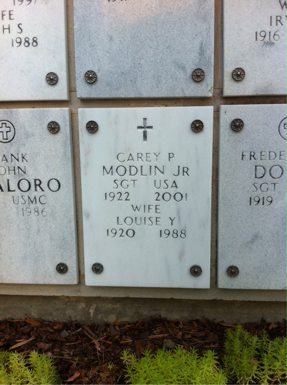 Carey Modlin