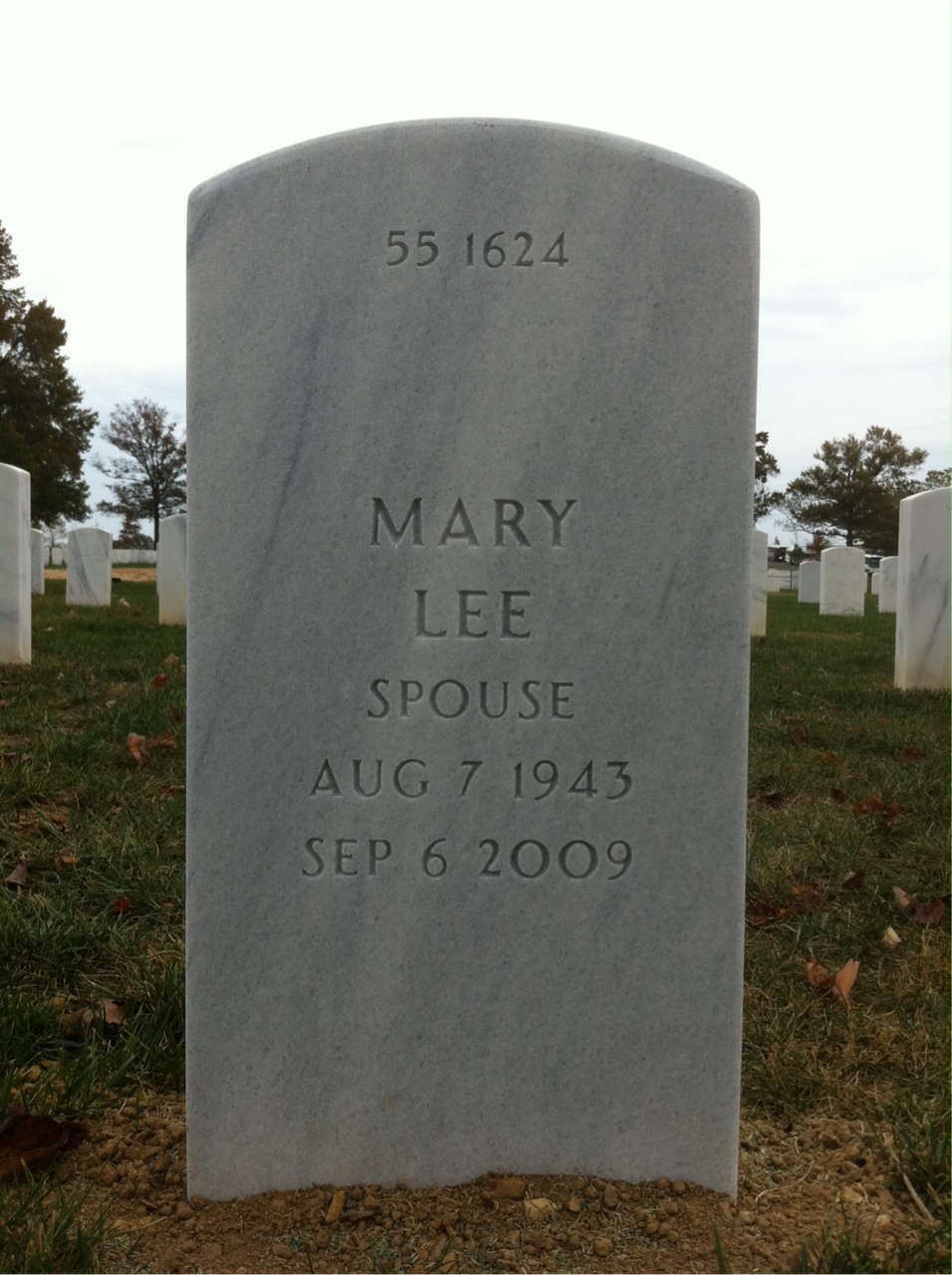 Back of headstone — William N Houston