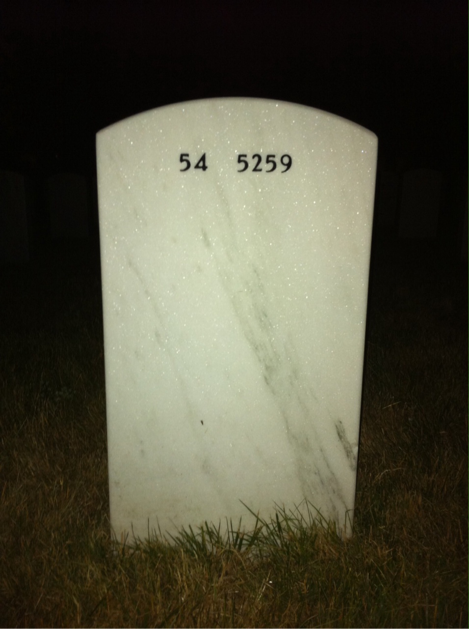 Back of headstone — Francis Biddick