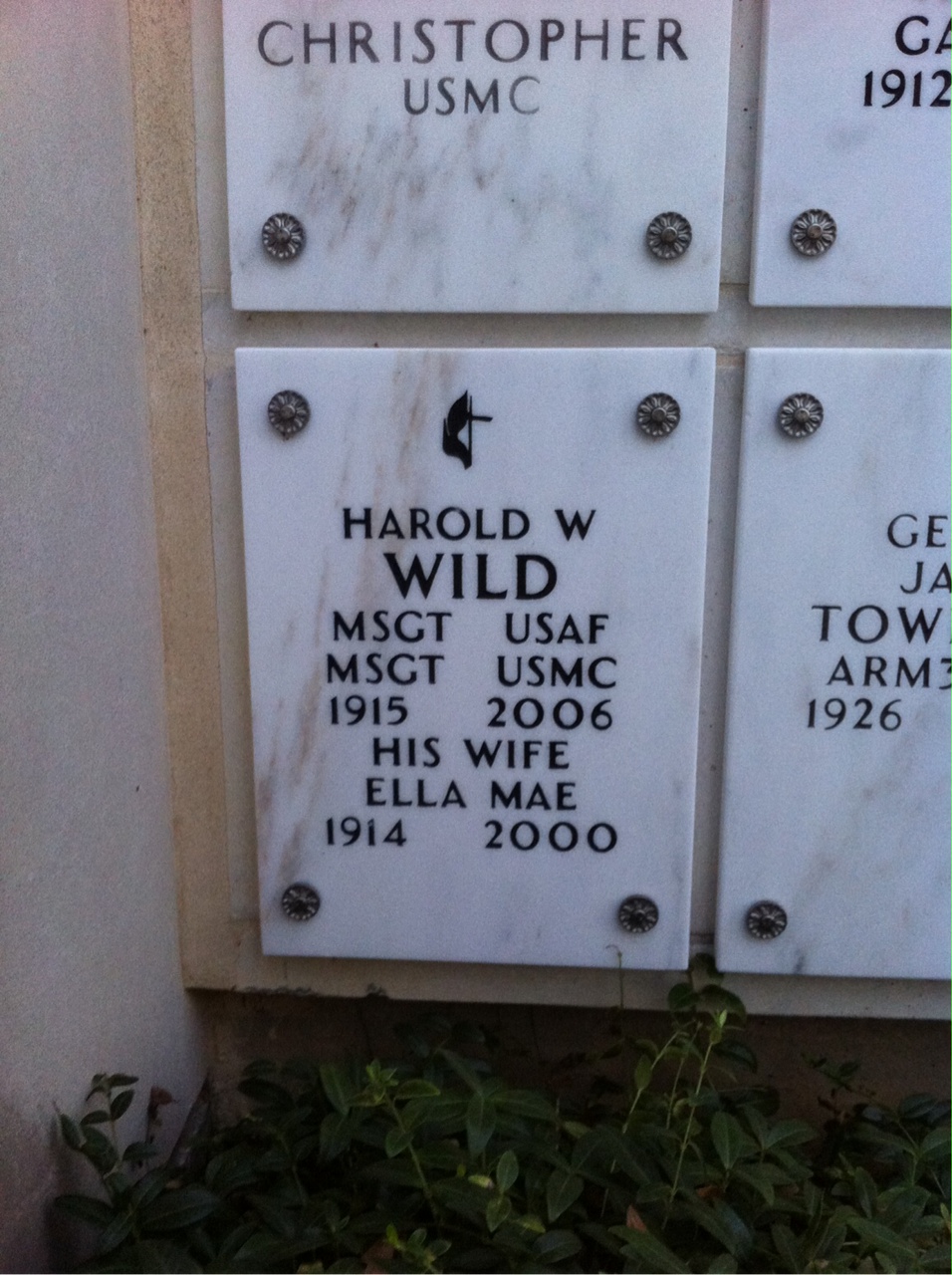 Harold Wild