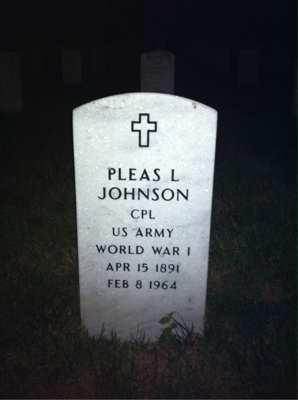 Pleas Johnson