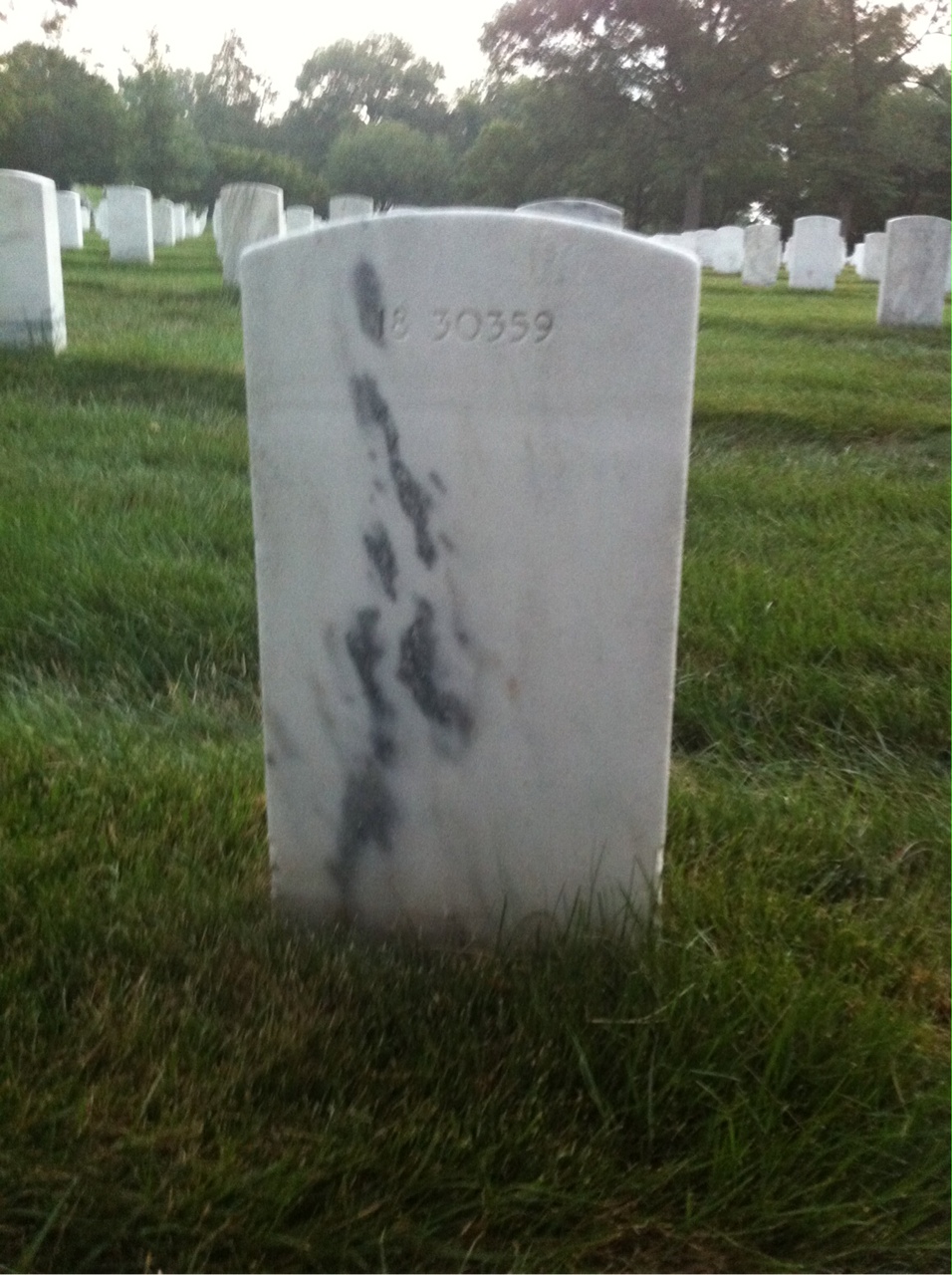 Back of headstone — Lewis Anderson