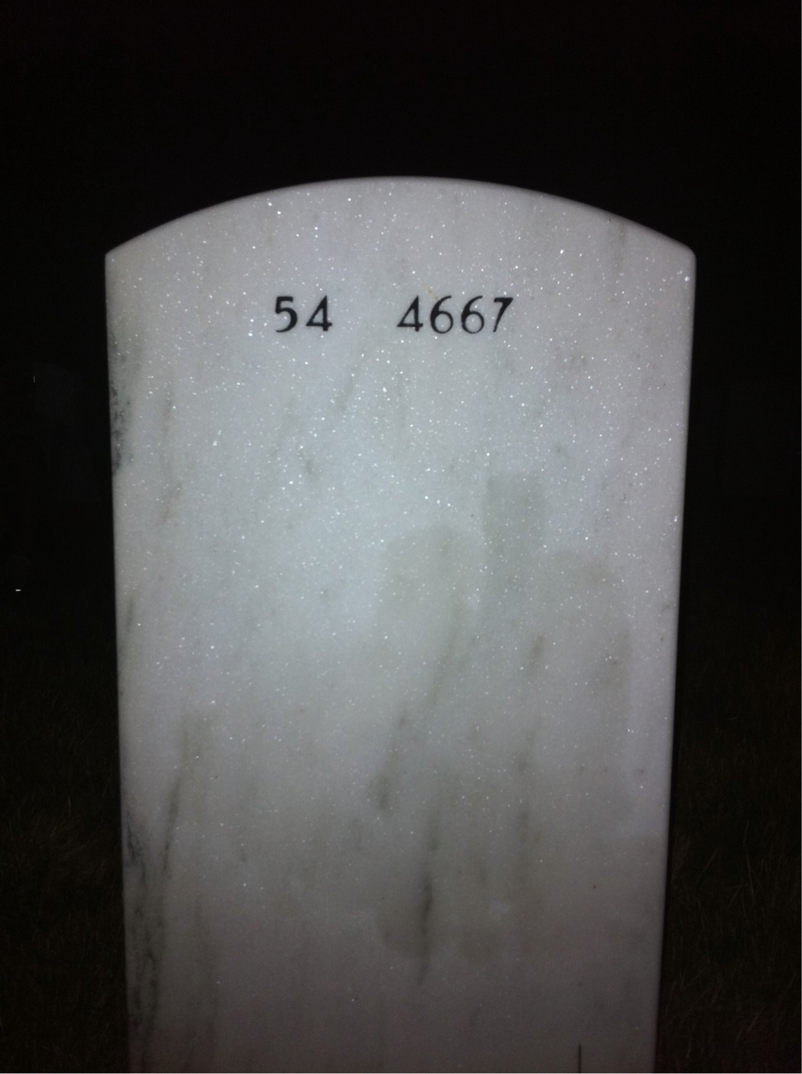 Back of headstone — Elmer Ferrell
