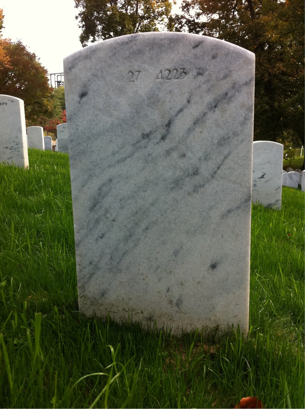 Headstone of Unknown Unknown