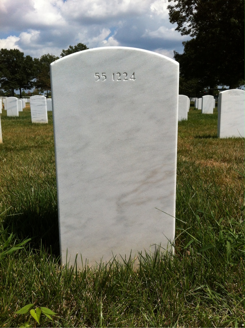 Back of headstone — Horace Alphin