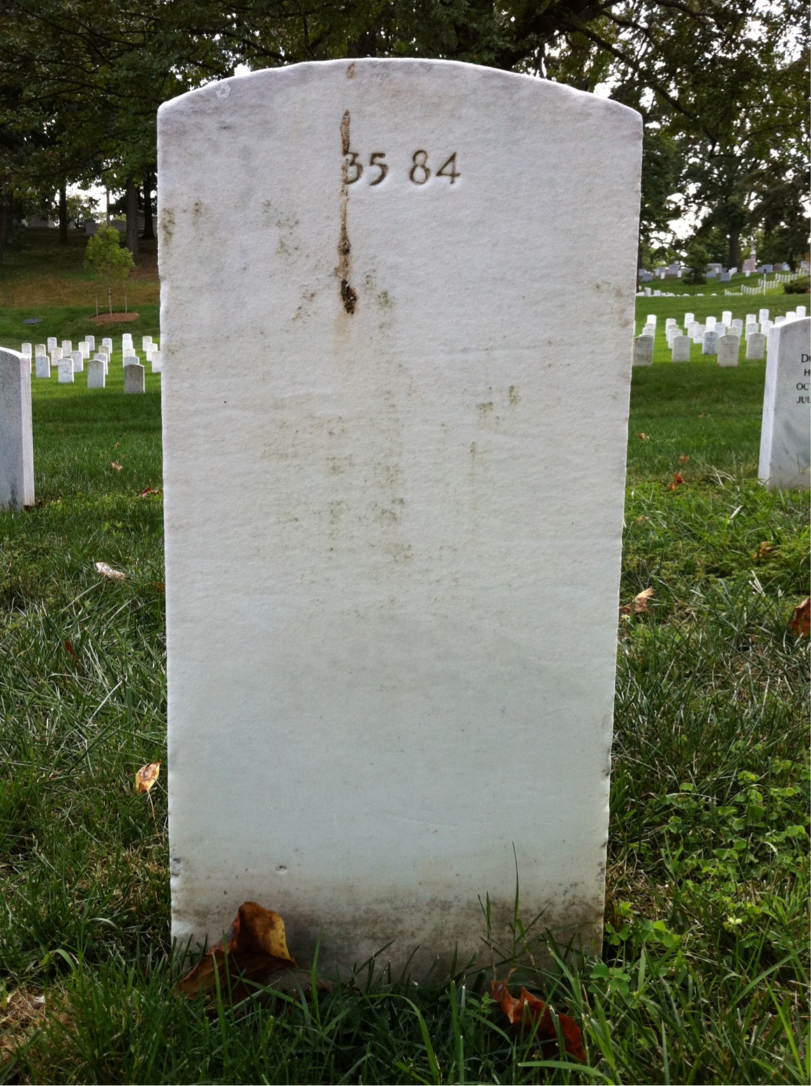 Back of headstone — William Adams