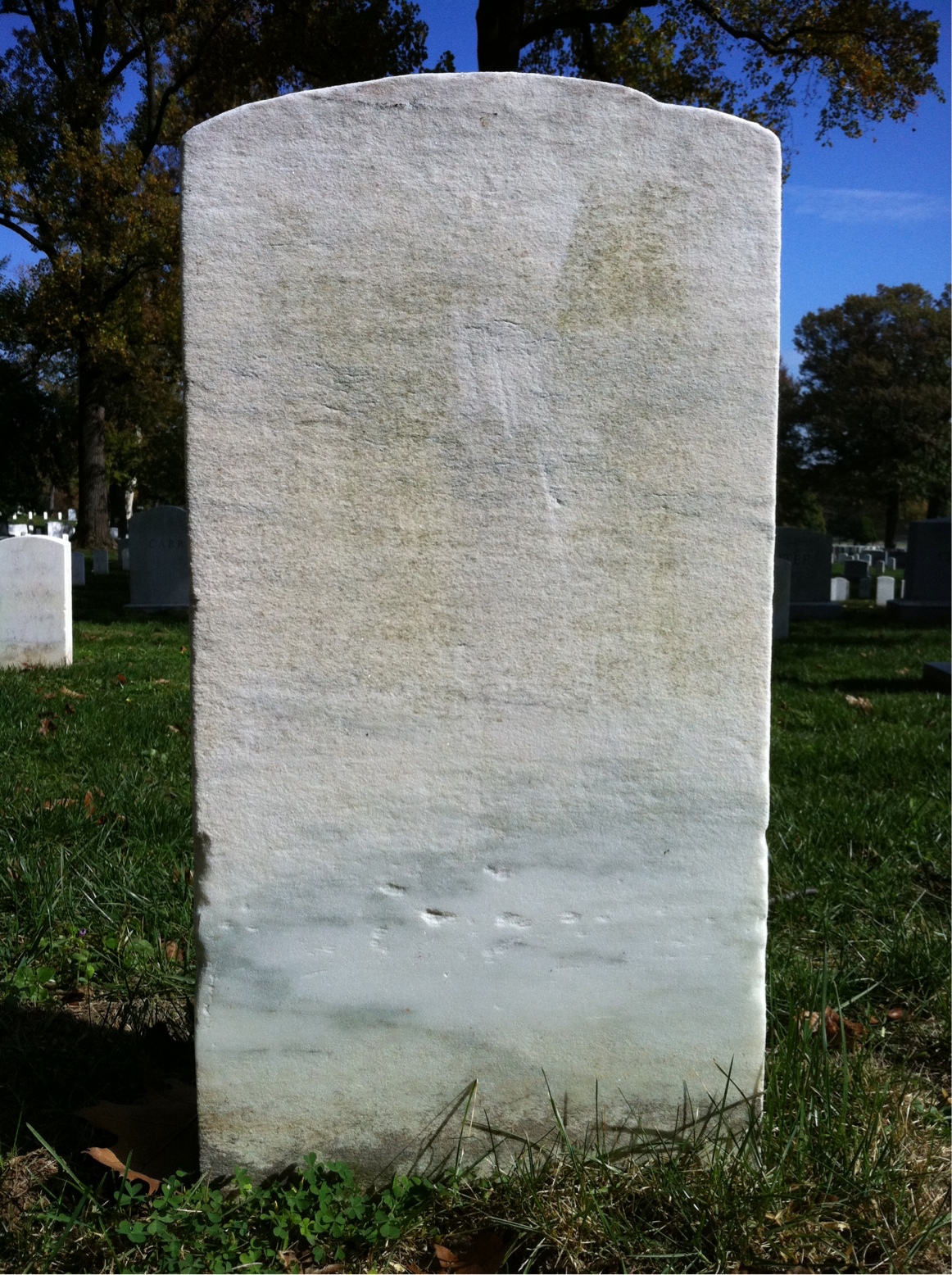 Back of headstone — Harvey Alban